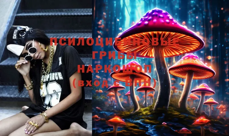 Псилоцибиновые грибы Psilocybine cubensis  kraken вход  Камешково 